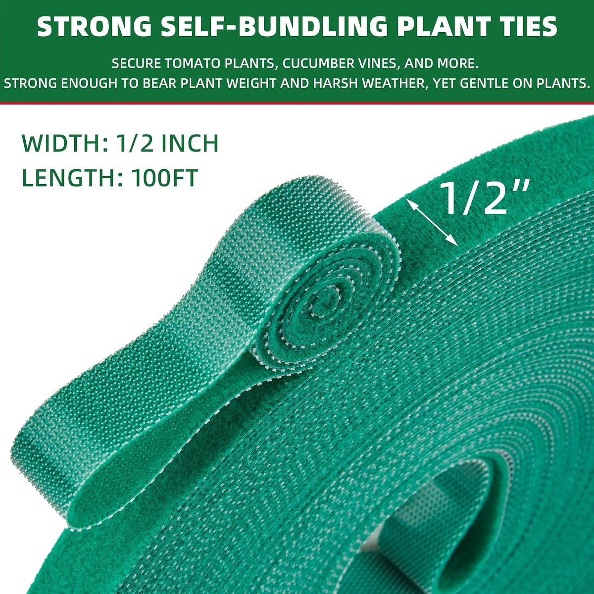 50 ft x 1/2 inch Reusable Plant Ties Roll for Indoor & Outdoor Plants, Non-Toxic Soft Garden Ties, Cut-to-Length Nylon Ties, Gentle Support for Climbing Plants, Tomato Peppers & Vines, Green
