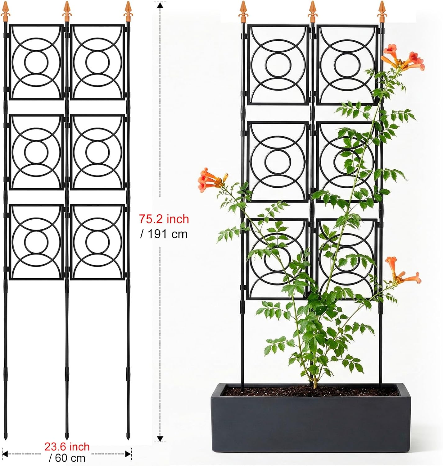 Trellis for Climbing Plants Outdoor, Tall Garden Trellis Flower Rose Cucumber Trellis for Vines Pea Support, Wall Large Plant Trellis Fence with with Plastic Frame, 3 x 6.2 FT