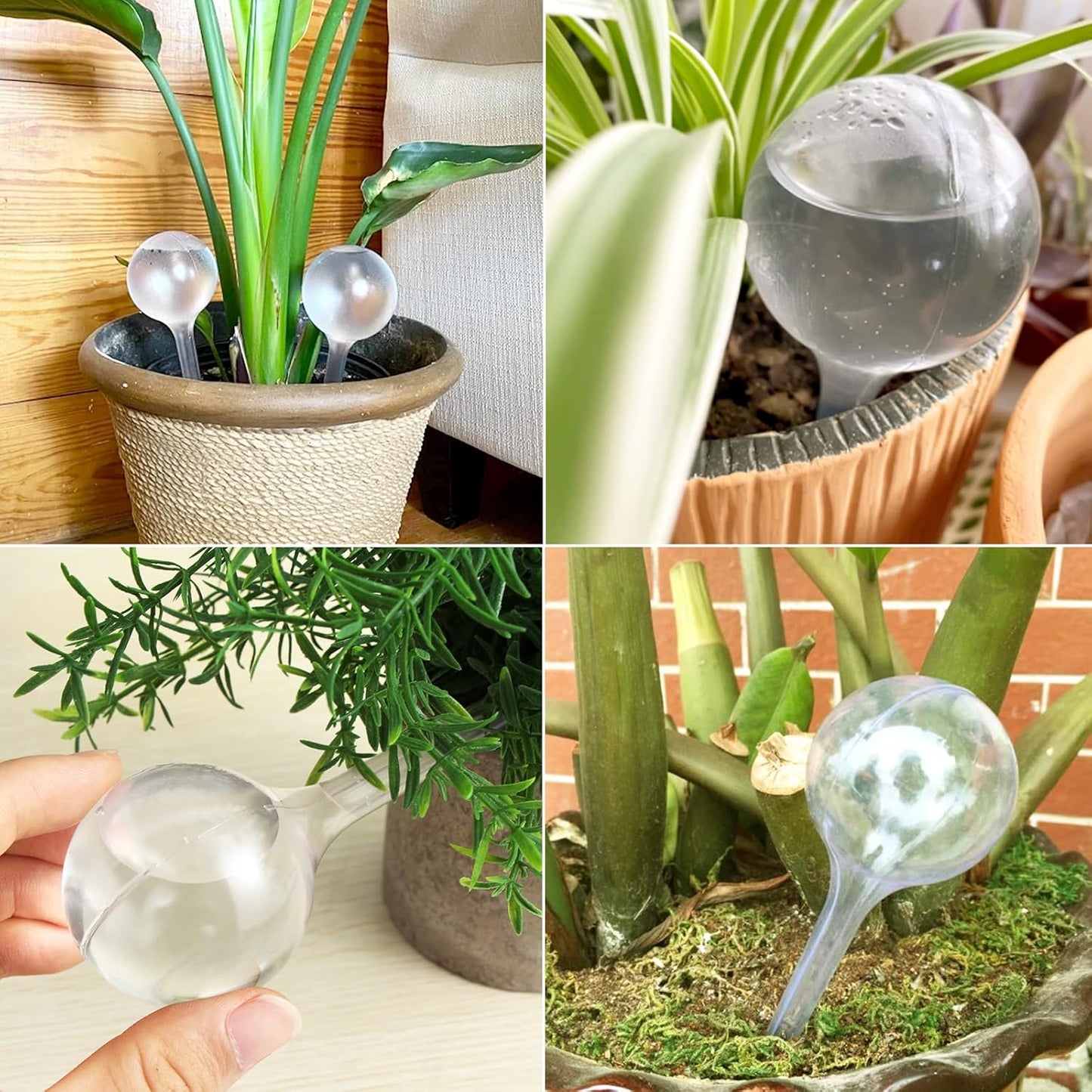 Pynqdfu 12 Pcs Large Plastic Self-Watering Bulbs,Clear Automatic Watering Globes,Clear Automatic Watering Bulbs for Plants,Graden,Flowers