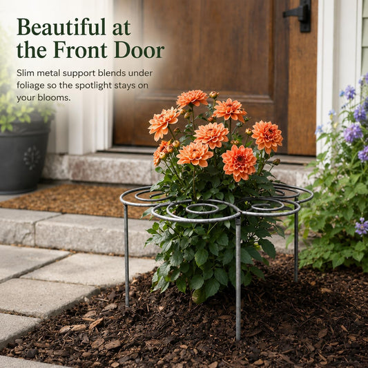 2026 Metal Plant Support Ring,Extra Large Peony Supports for Outdoor Plants,Perfect for Peonies Cages,Hydrangea Support Flower Cages,Grow-Through Plant Supports,A Garden Must-Have (2pcs*Medium)
