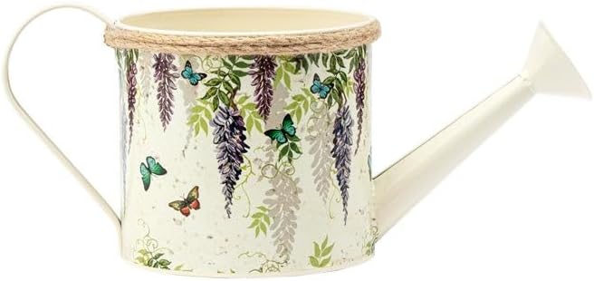 Imports Indoor Outdoor Plant Succulent Herb Flower Pot 5 Inch Metal Wisteria Watering Can