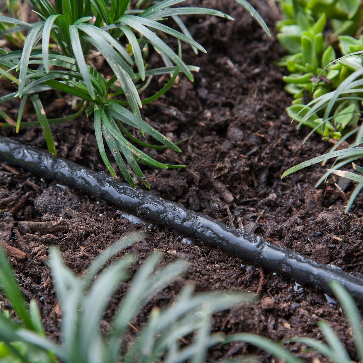 015005T 1/4-Inch by 50-Foot Soaker Hose Tubing for Drip Irrigation, Use in Vegetable Garden, Planters, and Borders, 50-Foot, Black