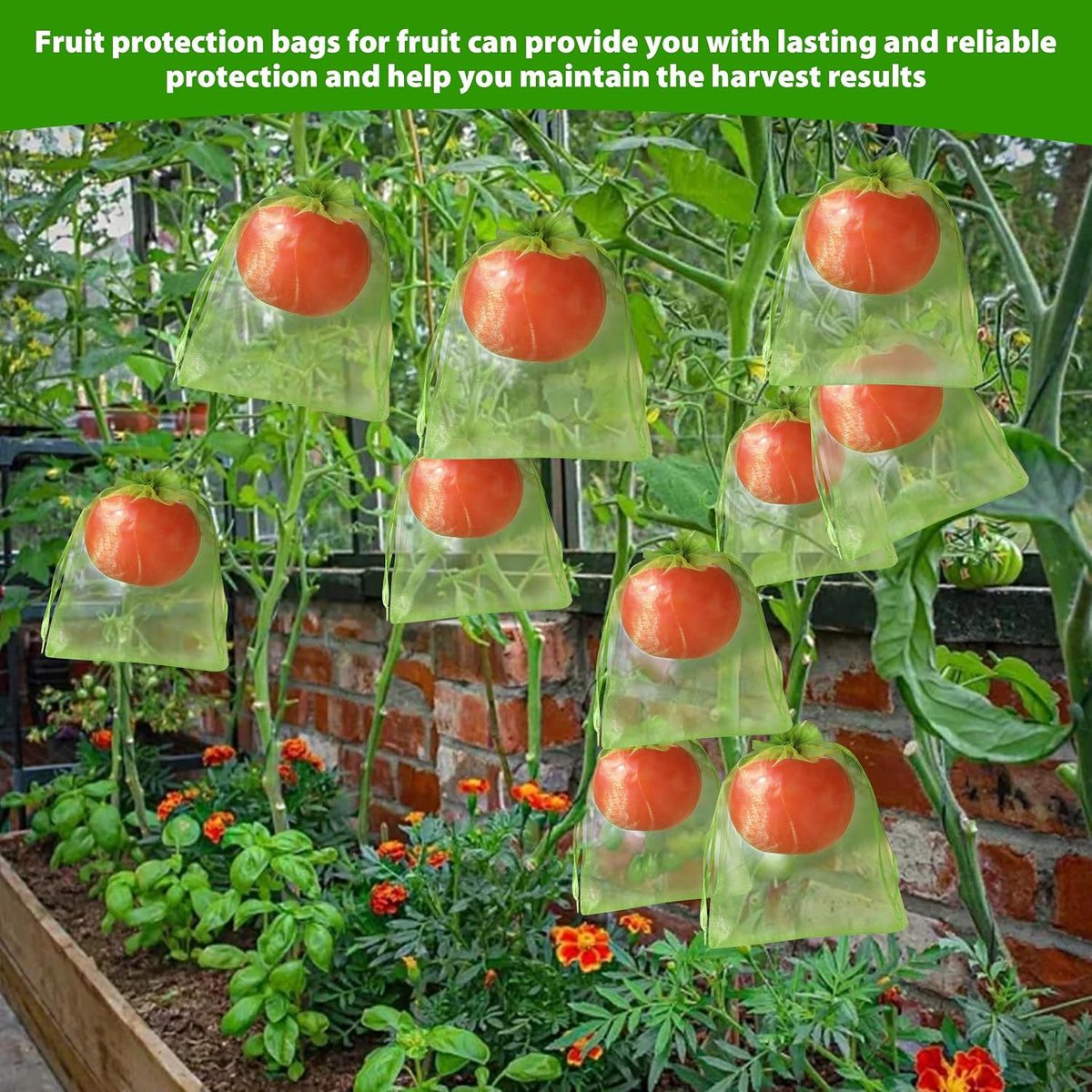 70PCS Fruit Protection Bags 6x8 Inch Green Netting
