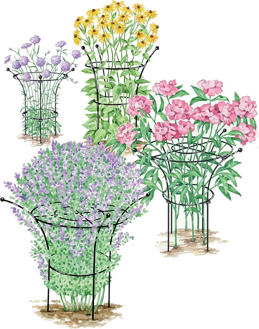 Essex Plant Support | Sturdy Metal Frame for Peonies & Roses | Flower Garden Cage with Wide Top Rings Natural Bouquet Shape | 31.5" H X18 D