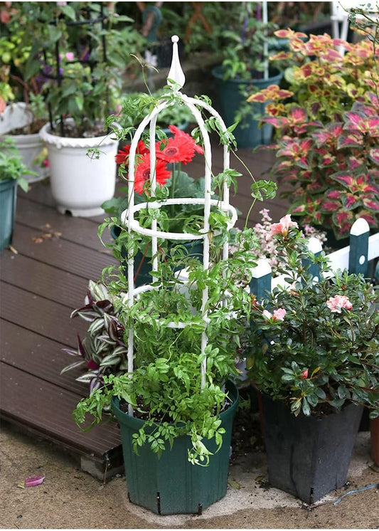 Garden Trellis for Climbing Plants Plant Support Cage, Tower Obelisk Plant Support Indoor Potted Plant, Plant Trellis for Climbing Vines, Tomato, Flower, Vegetable, Rose