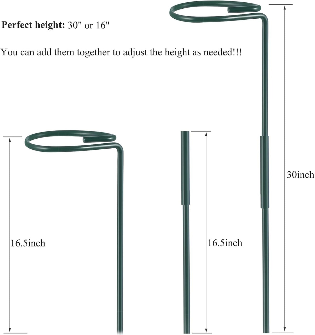 Plant Stake Support, Adjustable Height 12" or 24" for Garden Support Stake