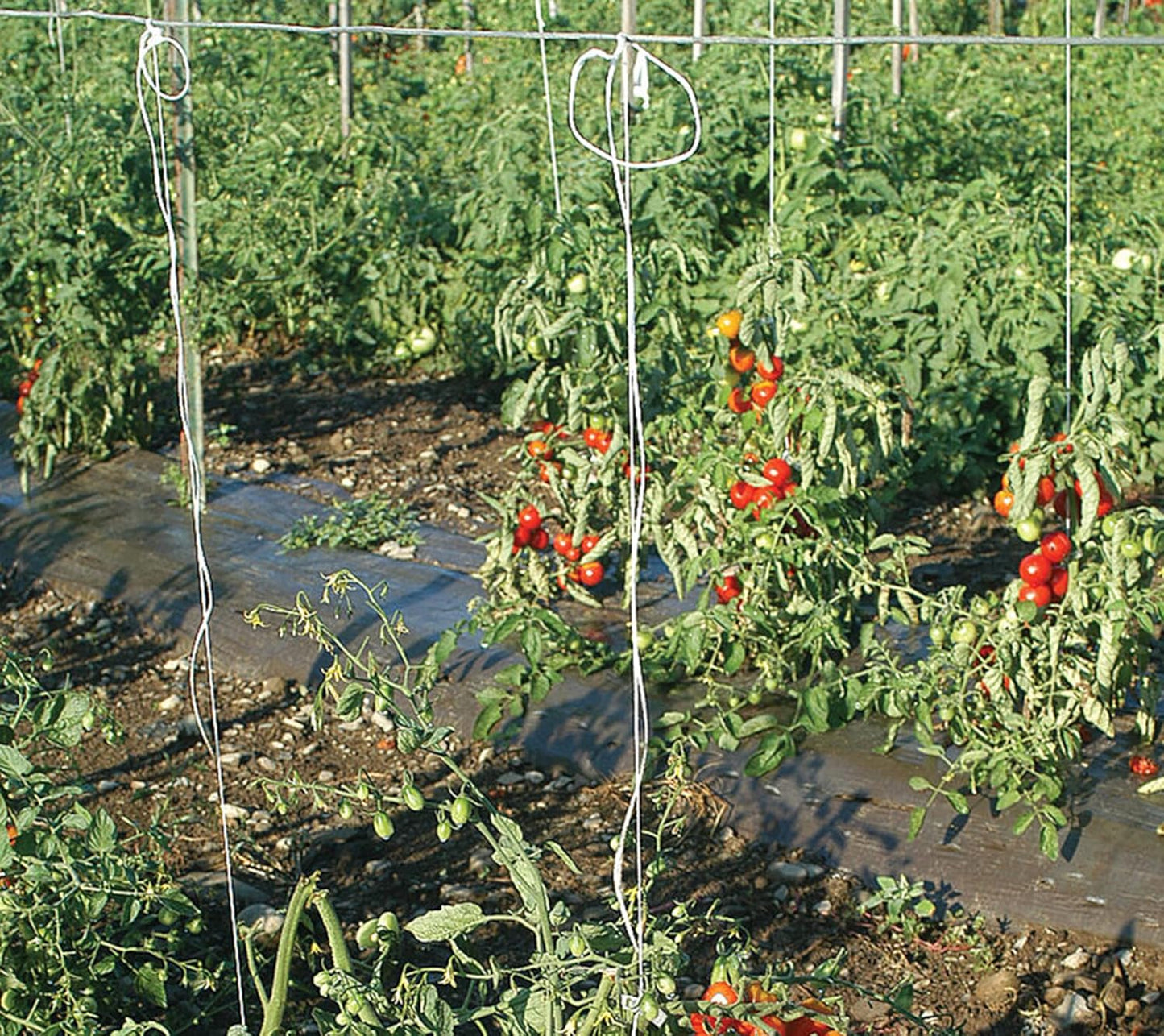 6300FT Tomato Tying Garden Twine