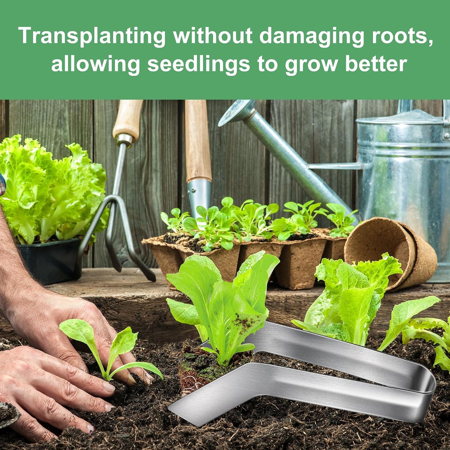 2 Pcs Seedling Transplant Tongs- 6.7 Inch Stainless Steel Gardening Plants Transplant Tongs- Seedling Remove Transplant Pliers for Reducing Root Damage