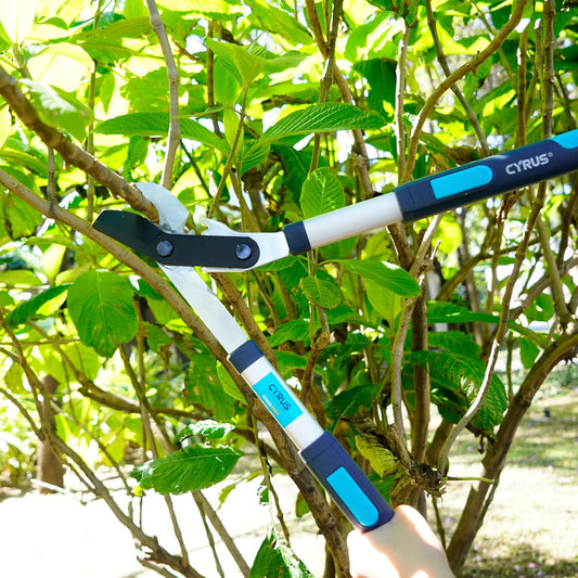 Extendable Tree Loppers 28-41 Inch For 2 Inch Thick Branch Trimming