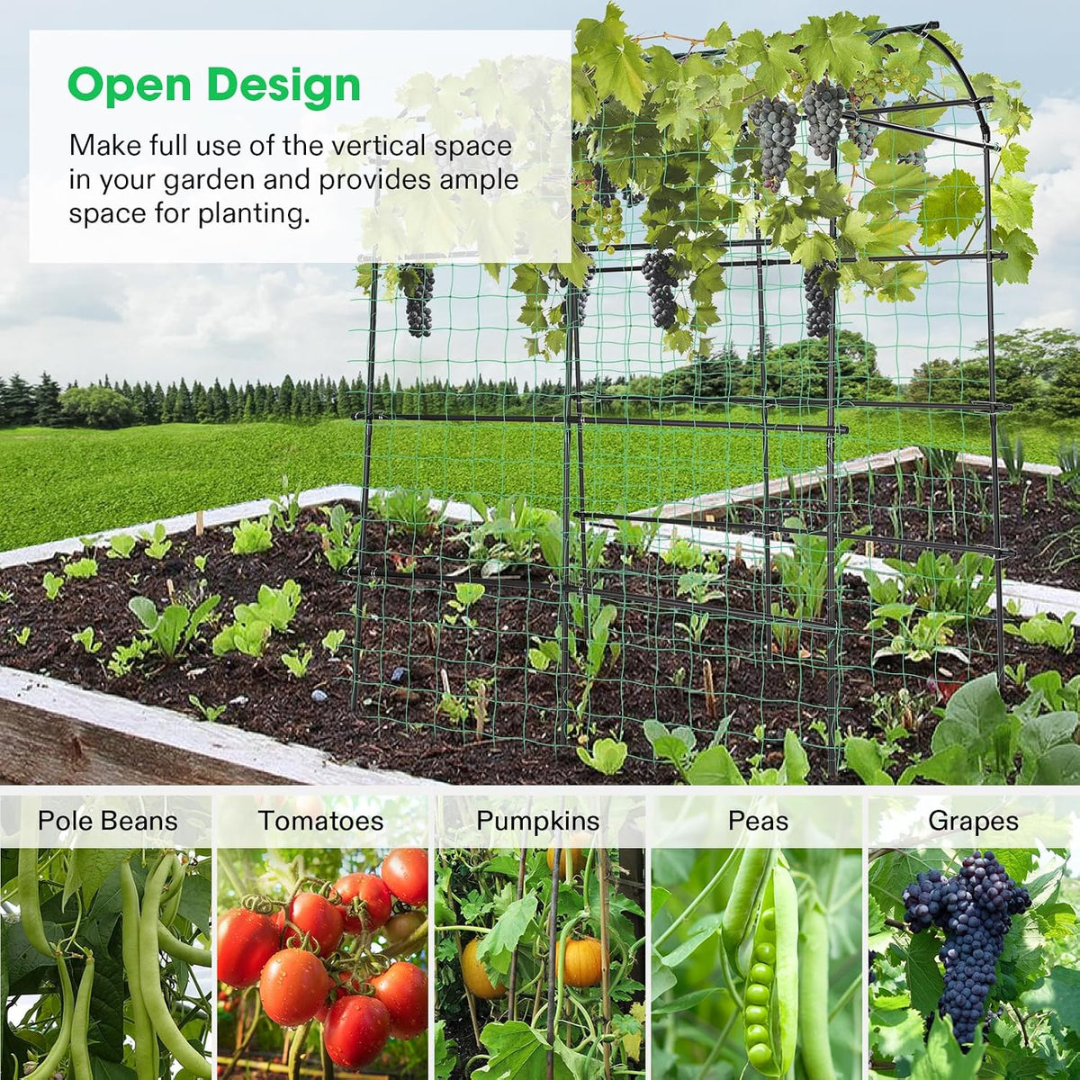 7Ft. Arch Trellis for Climbing Plants, 7 x 6 x 7ft Tall Metal Tunnel Trellis, Lightweight Metal Plant Support Archway with Nylon Netting for Climbing Vine, Vegetables, Fruits, Flowers, Black