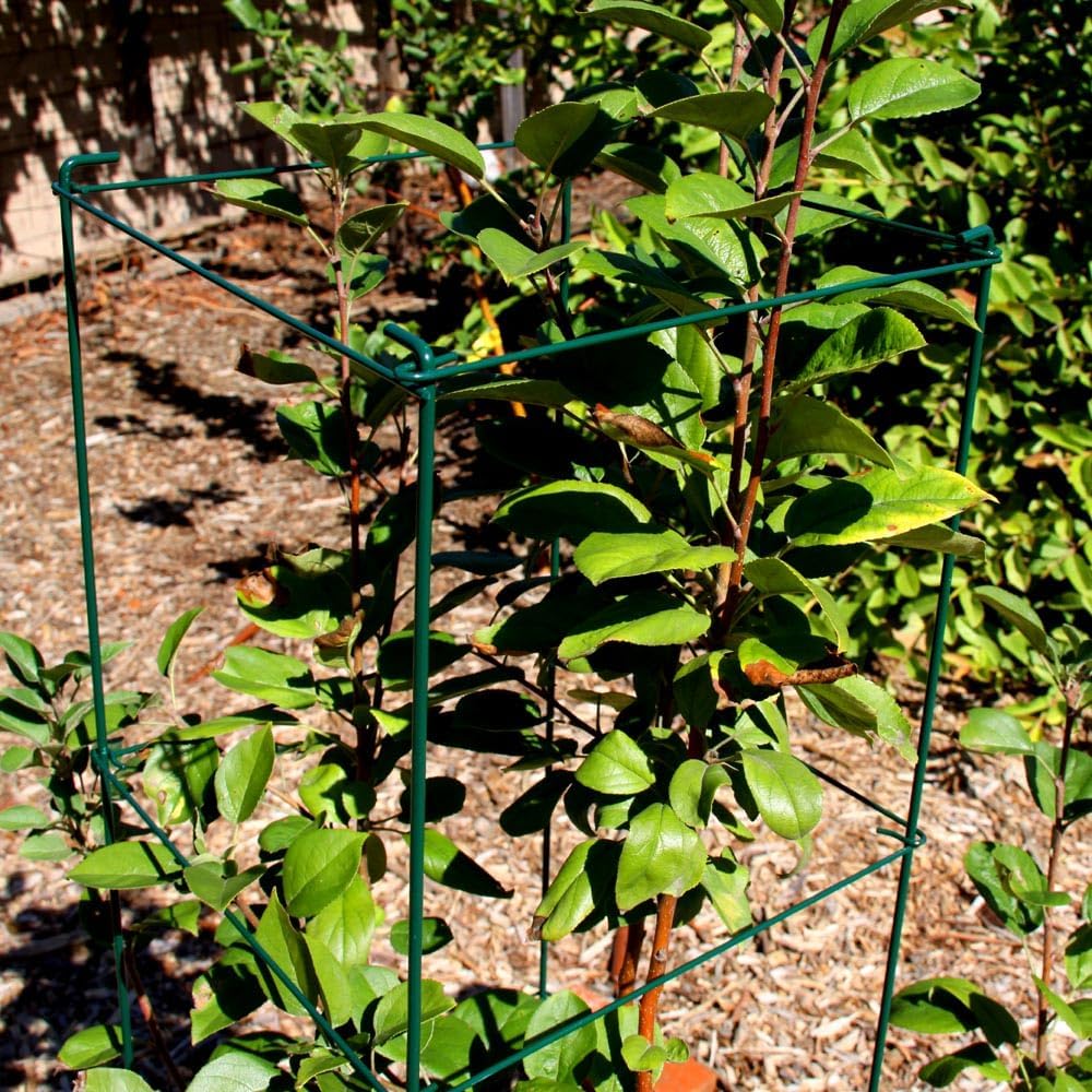 46" Height 12" Width 5PCS Galvanized Square Folding Tomato Cage,Plant Support Stake Tower