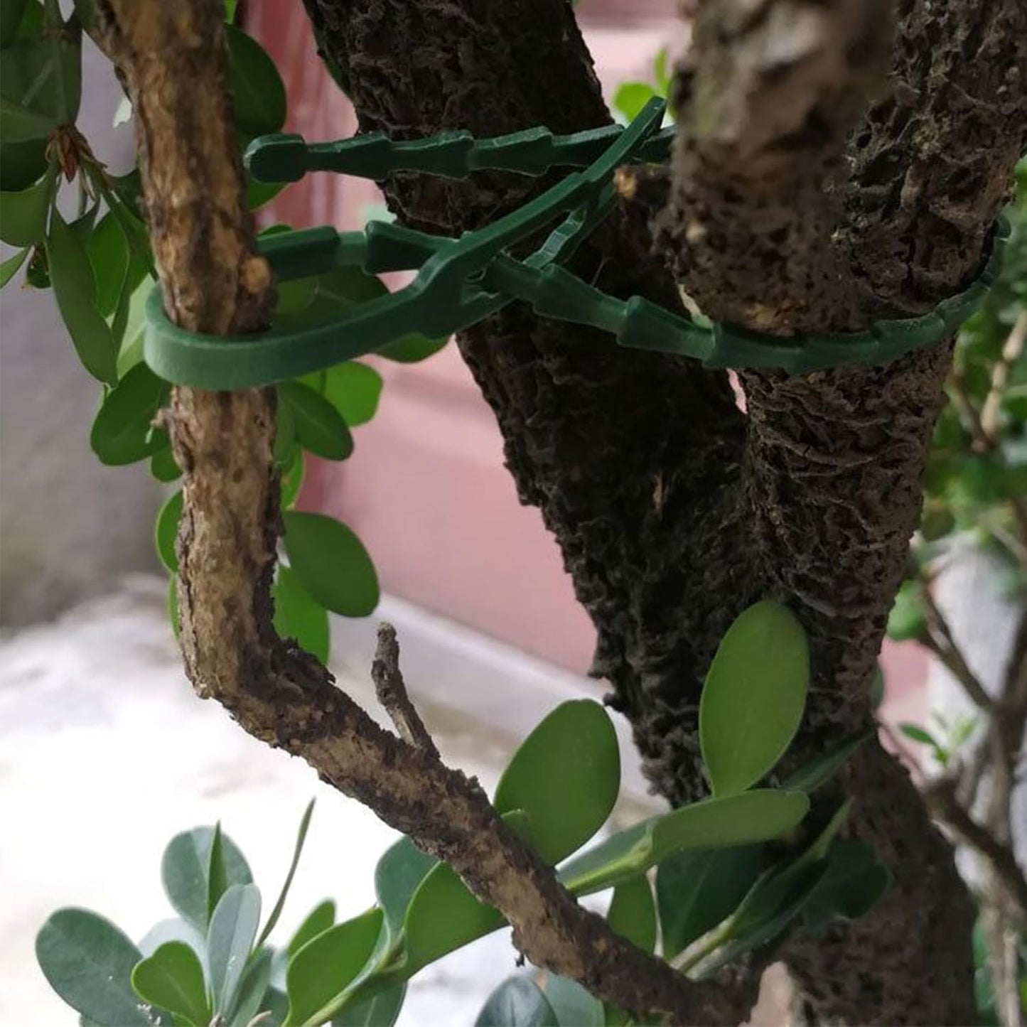 300 PCS Adjustable Plant Ties Flexible Garden Plant Ties, Green Multi-Function Sturdy Garden Plant Twist Tie Plastic Garden Ties Plant Support Tree Shrub, Office Home Cable Organization (13 & 23 CM)