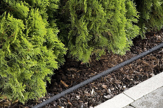 Soaker Hose: Water-saving sprinkler hose for watering plant rows and beds; water savings individually adjustable up to 70 percent, easy to use, hose length: 15 m (1969-20)