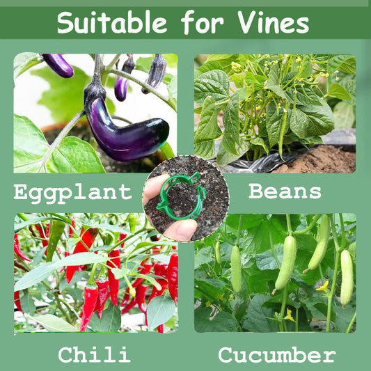 Plant Support Clips, Tomato Clips, Plastic Trellis Clips, 50 Pcs Grape Vine Tomato Vine Vegetables Plants Garden Support Clips to Grow Upright Makes Plants Healthier