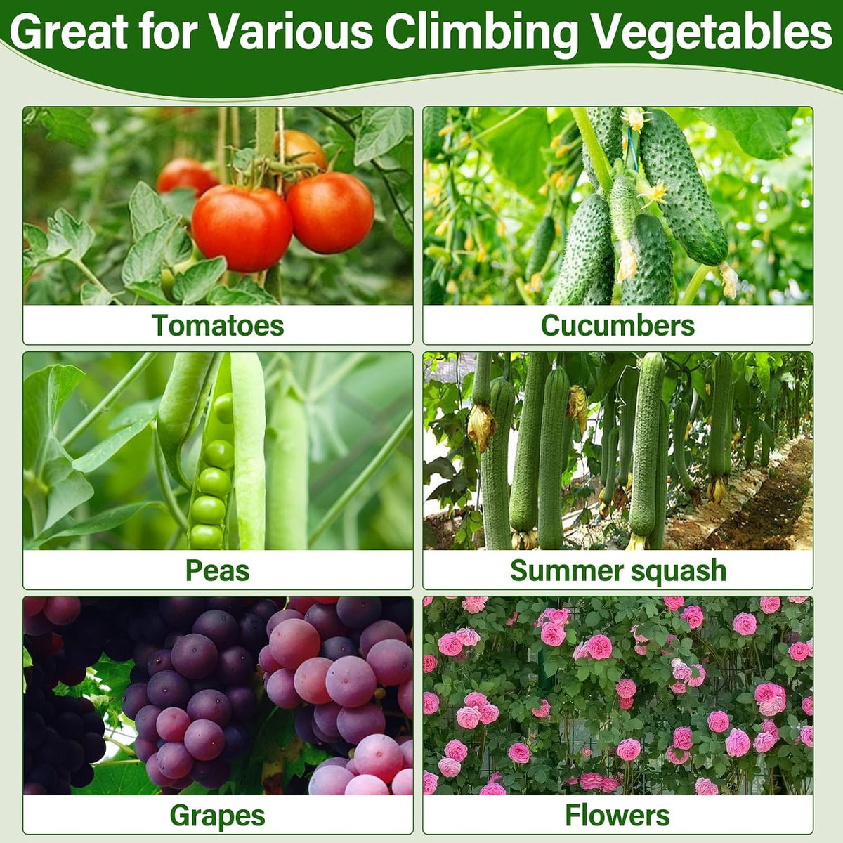Cucumber Trellis for Raised Bed, Tall Metal Garden Trellis for Climbing Plants Outdoor with Netting, Gloves, Garden Tools, Trellis for Vegetables Plant Support Peas Fruit Flower Grape
