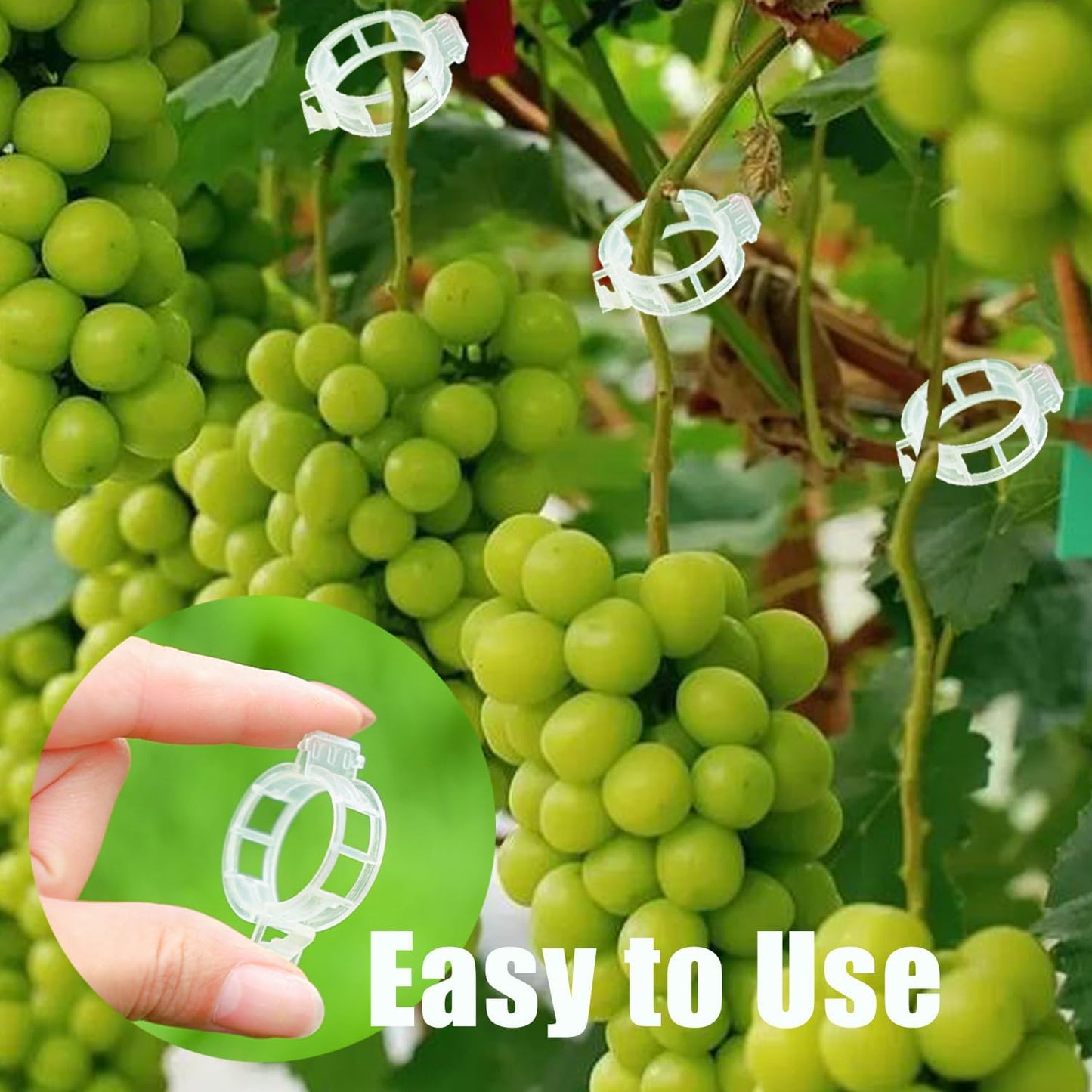 Plant Support Garden Clips, Tomato Clips, Crop Clips for Vine Vegetables, Fixing Tomato, Sweet Pepper, Eggplant, Makes Plants Grow Upright and Healthier 50pcs