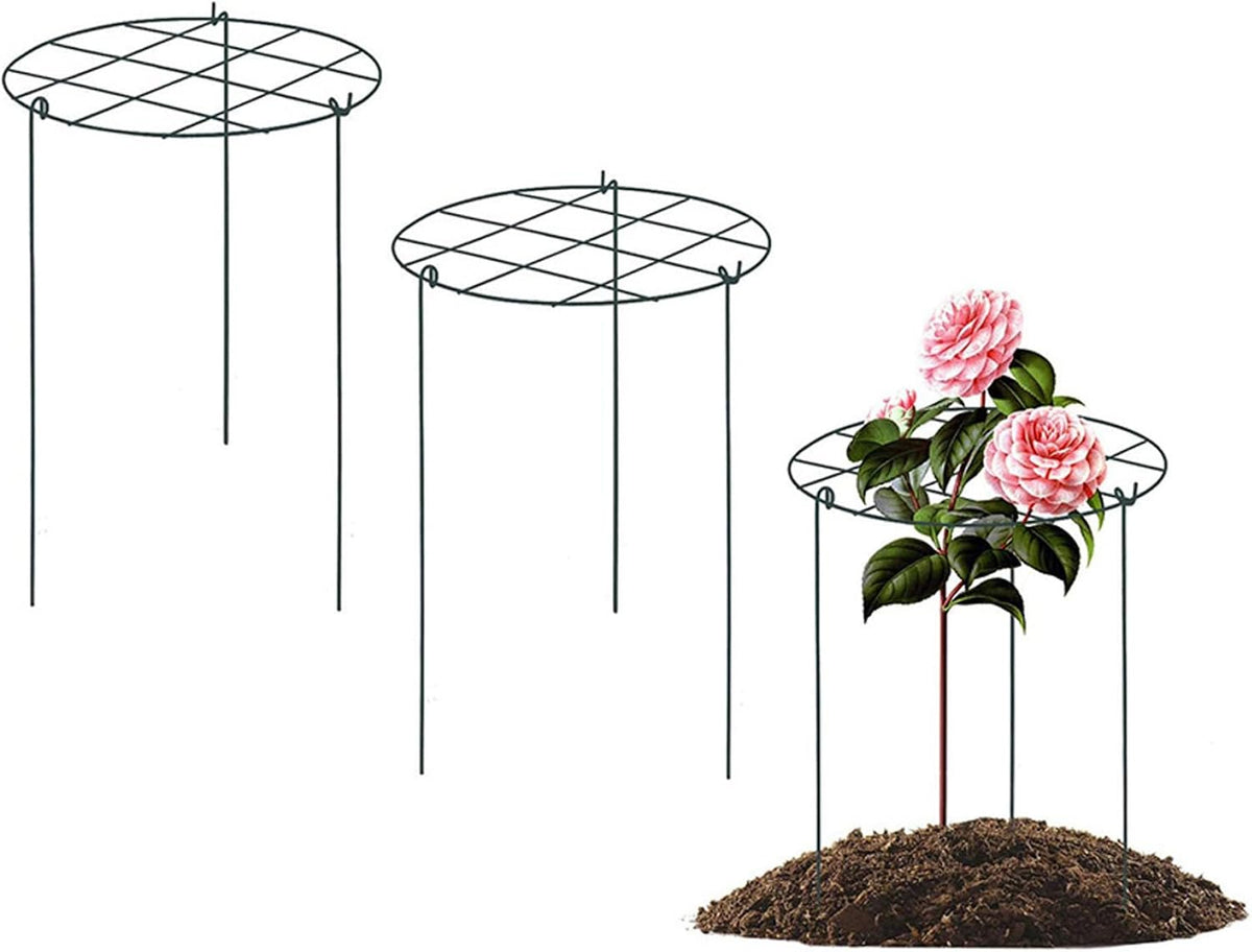 Peonies Support Cages, 6 Pack Peony Cages and Supports 30x40cm Plant Cages for Outdoor Plants Tomato Plant Support Plant Brace Flower Support Rings Hoops for Rose, Orchids
