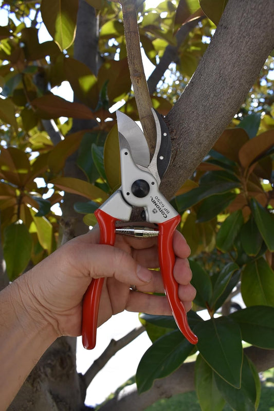 BP 6250 MAXFORGED Aluminum Bypass Pruner, 1-Inch Cut Capacity, Professional Hand Pruning Shears with Replaceable Steel Blade & Non-Slip Comfort Grip