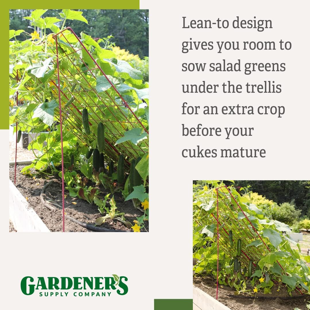 Cucumber Trellis | Garden Bed Support for Cucumbers & Climbing Plants | Outdoor Plant Support w/ 4" Grids for Easy Harvesting | 32" x 48" - Medium (Red)