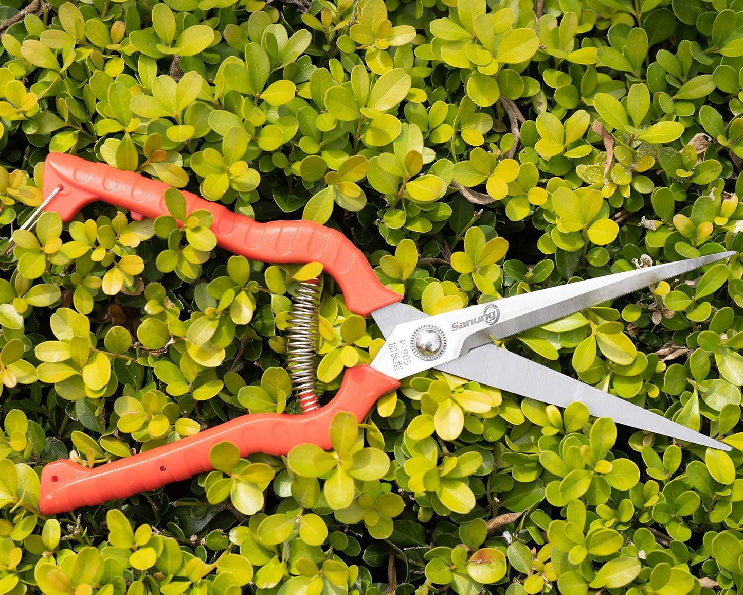 2 PACK Multifunctional Thin Fruit Scissors, P-905 Garden Pruner Shears Cutters with Anti-Slip Grip High-Grade Spring Lock Garden Pruner for Garden Fruits Vegetables Plants Flowers