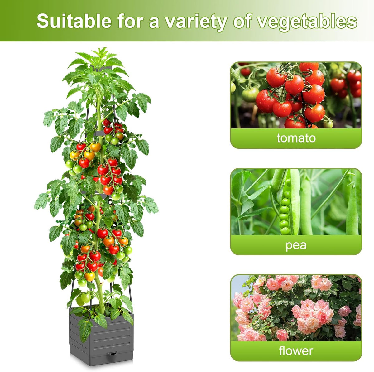 2 Pack Raised Garden Bed Tomato Planter with Trellis, 57" Tomato Cage Plant Support Planters, Self-Watering Planter for Tomatoes Climbing Plants Vegetable Vine Flowers Outdoor & Indoor