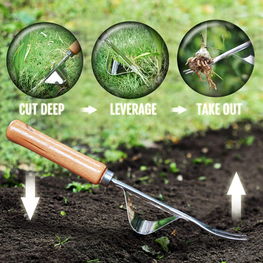Manual Hand Weeder - Bend-Proof Leverage Base for Super Easy Weed Removal & Deeper Digging - Sturdy Chrome Plated Steel - Compact Dandelion Weed Puller Tool for Yard Lawn and Farm