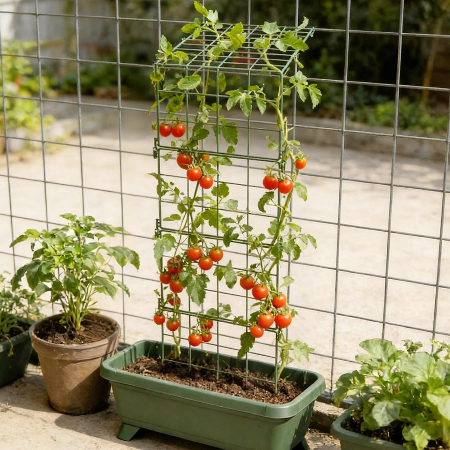 2 Pack Heavy Duty Adjustable A-Frame Trellis for Climbing Plants,48"x16", Rust-Proof Metal Garden Trellis with Dense Grid, Ideal for Raised Beds, Cucumbers, Tomatoes, Beans, and Outdoor Vines (2 Pcs)