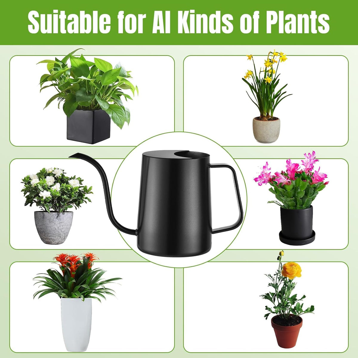 Watering Can Indoor Plants, Small Plant Watering Can, 12 oz, Black