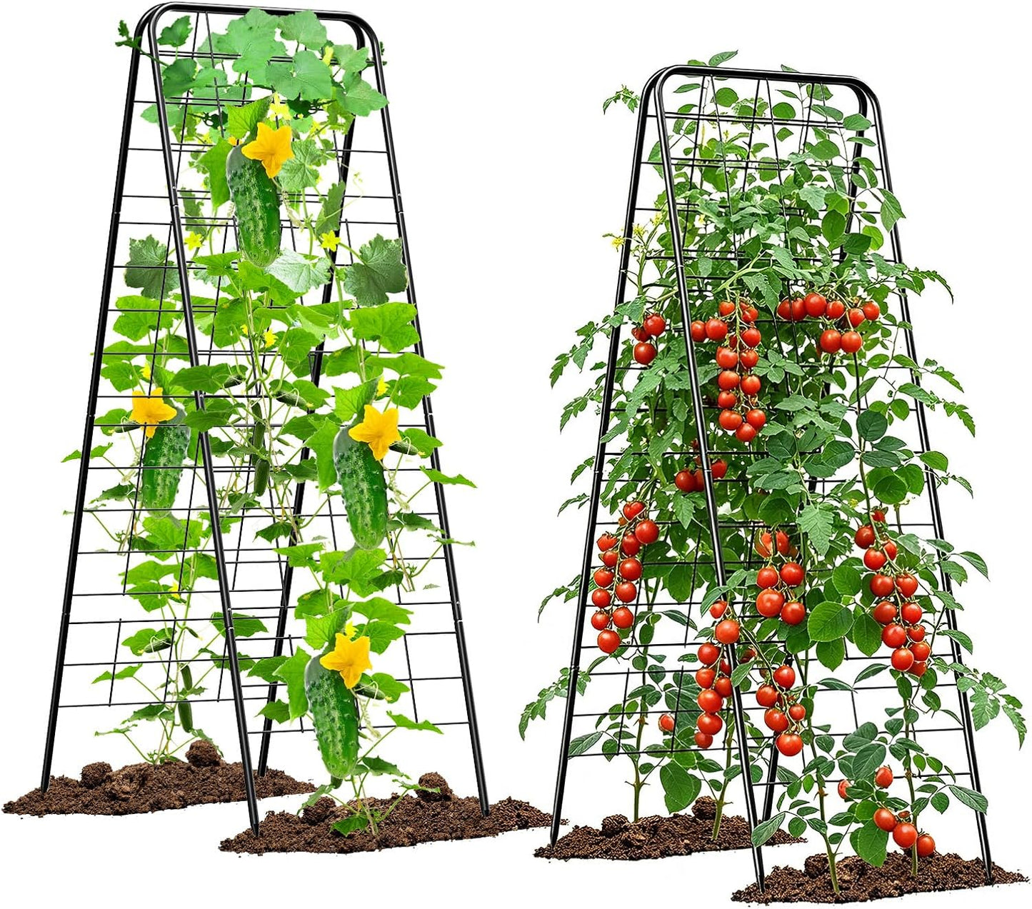 Heavy Duty Cucumber Trellis, 50" x 17" A-Frame Garden Trellis