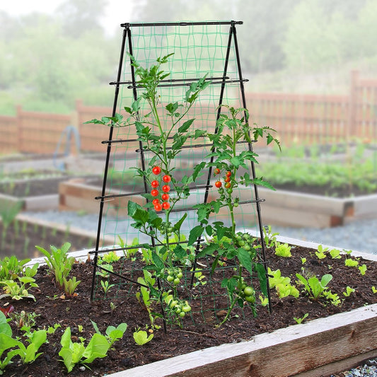 Cucumber Trellis for Raised Garden Bed, 71" H x 32" W A Frame