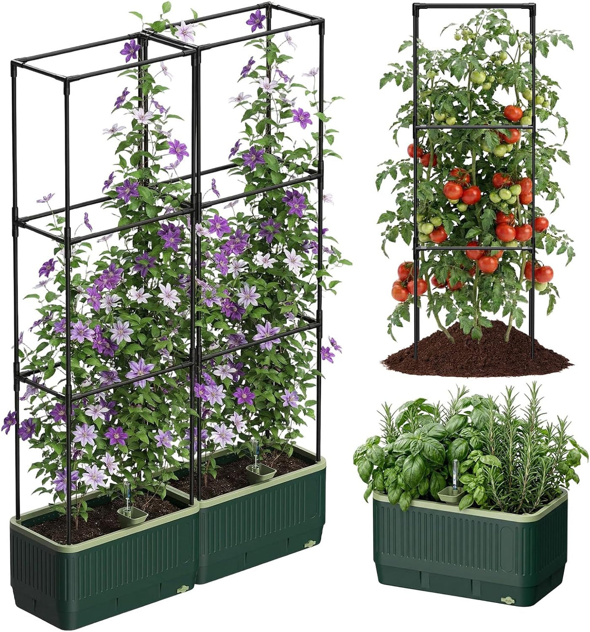 Raised Garden Bed Planter Box with Trellis, Self Watering Tomato Planters for Climbing Plants, Tomato Cage Trellis for Vegetables & Vine Flowers Indoor Outdoor Patio
