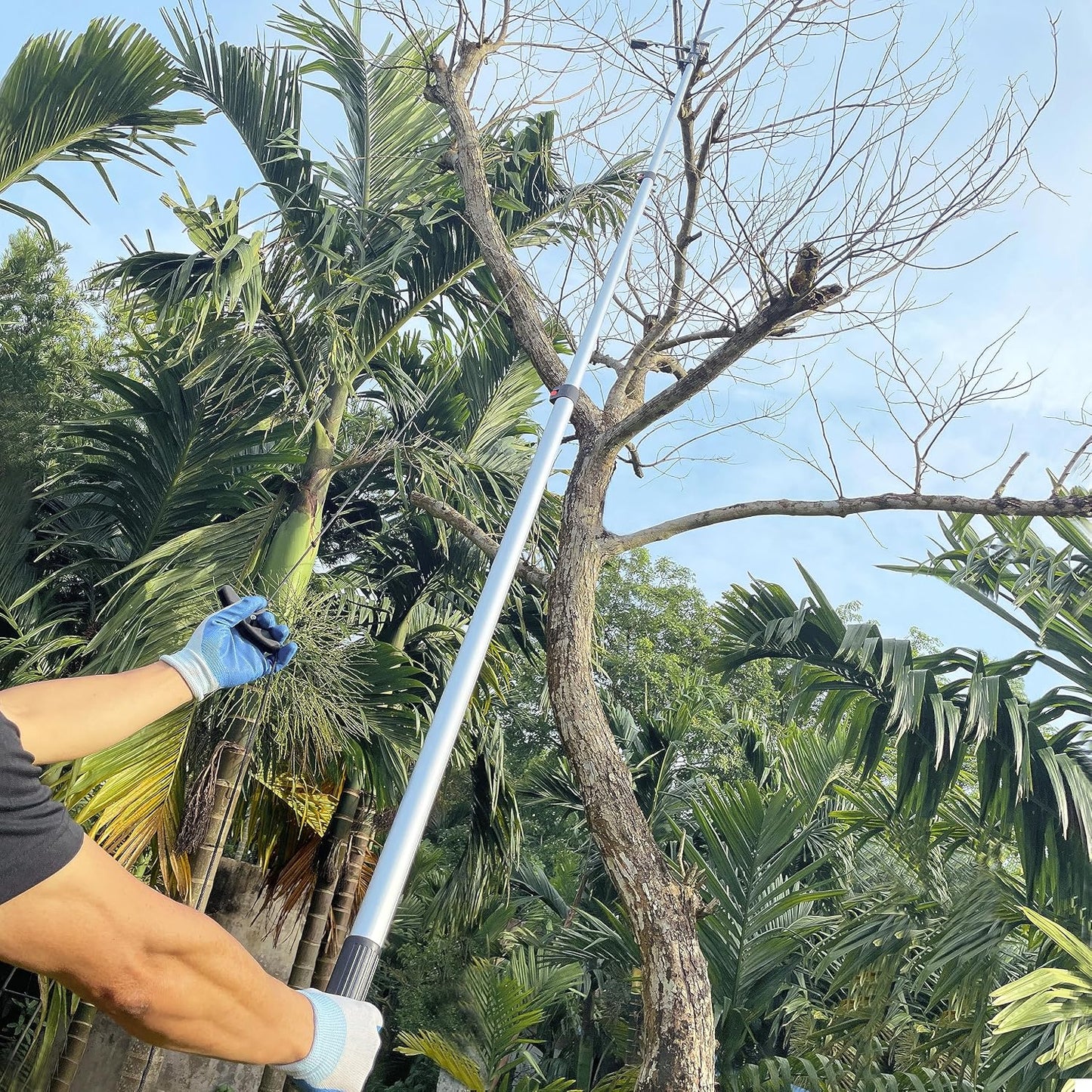 2-in-1 Manual Telescopic Tree Pruner & Pole Saw