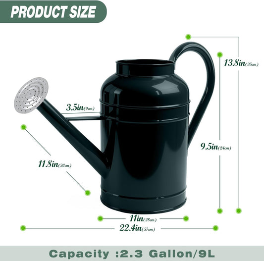 2.3 Gallon Dark Green Metal Watering Can for Plants and Garden with Removable Spout, Made of Galvanized Iron