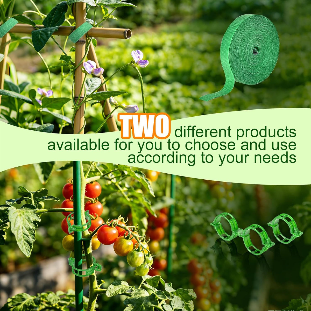 Plant Support for Tomato, Sets of Garden Clips and Ties for Climbing Plants, Fixing Stem and Vine