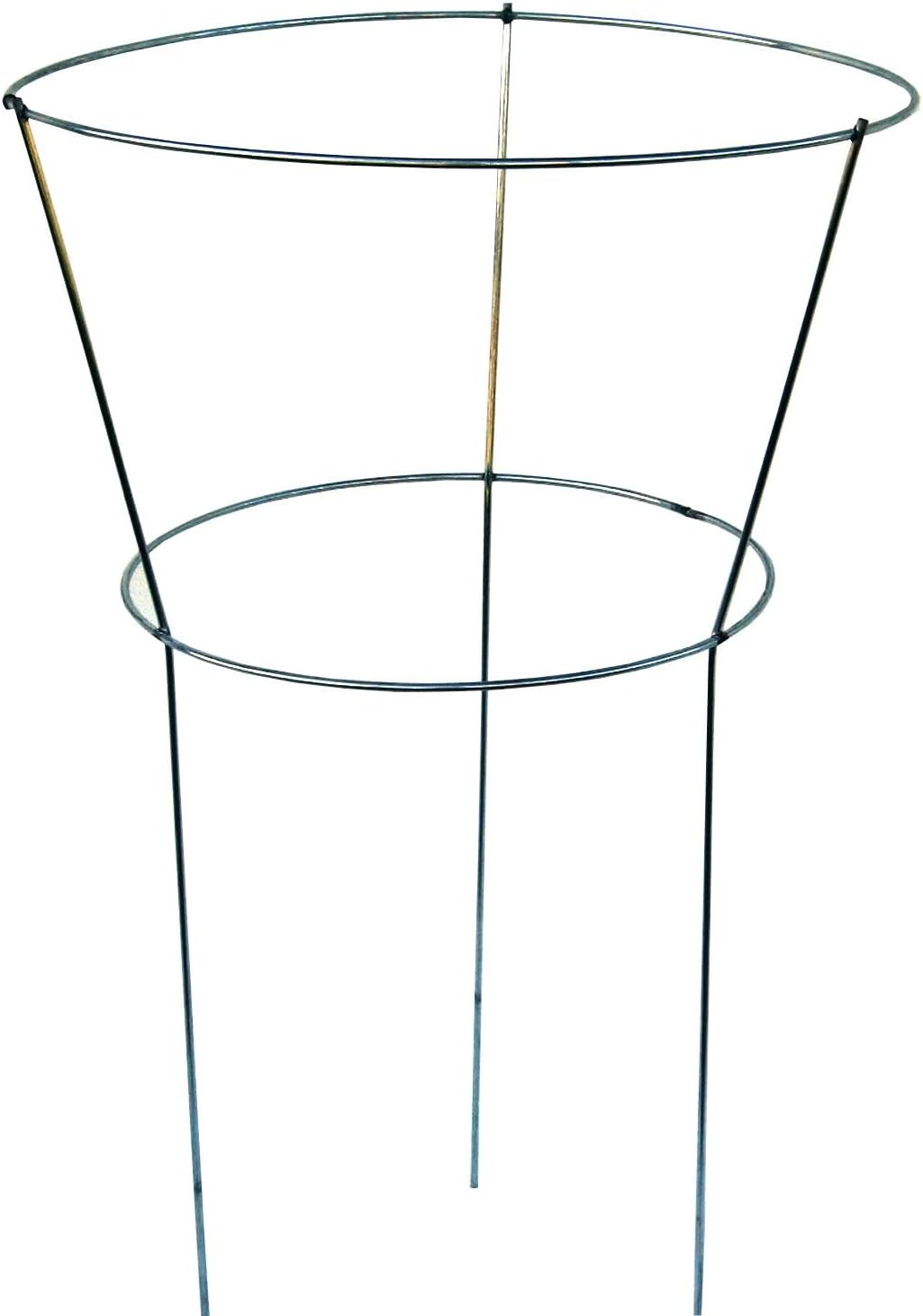 706009 18-Inch by 30-Inch Peony Hoops