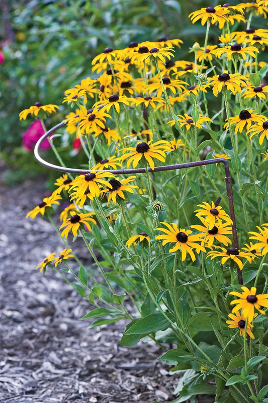 Jardin Half Round Plant Supports -18" x 35"