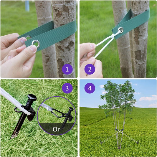 Heavy Duty Steel Tree Stake Kits,Tree Staking and Supports Kits for Young Trees Against Bad Weather, Include 3 PCS Tree Straps for Staking, 3 PCS 11.8 Inch Tree Stakes and 31.2 Feet Rope for Anchoring