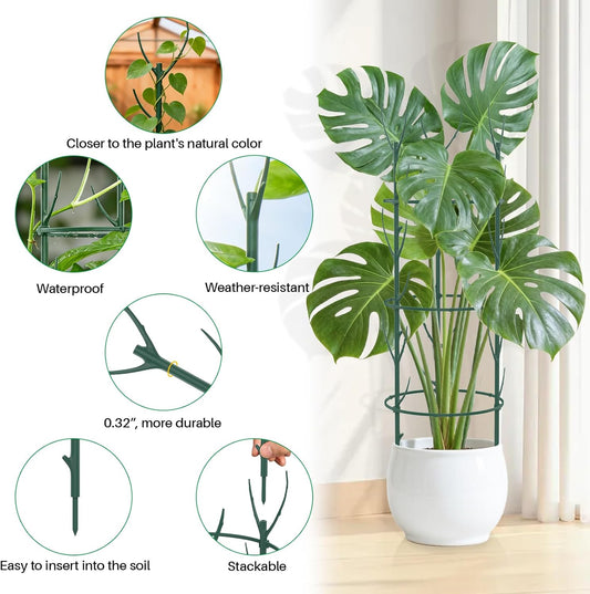 Monstera Plant Support Stakes, 30 Pcs Stackable Plant Support Stakes Sticks Poles for Indoor & Outdoor Plants, Climbing and Potted Plants, Stem Supports, Pothos