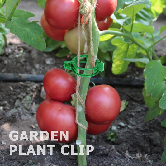 200PCS Green Plant Support Clips, Tomato Clips, Garden Clips, Trellis Clips, Vine Clips for Climbing Plants to Prevent Tomatoes from Pinching or Falling Off