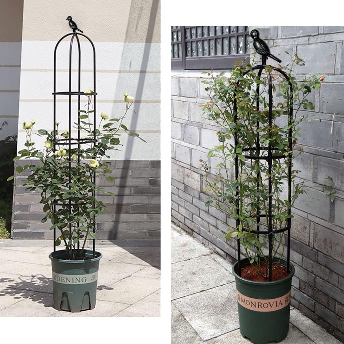 Garden Trellis for Climbing Plants Outdoor, Metal Plant Trellis with PE Coated, Rustproof Plant Support for Flowers Vegetable Vine, Tomato cage for Potted Plants Indoor Outdoor,Lightweight - 2 Pack