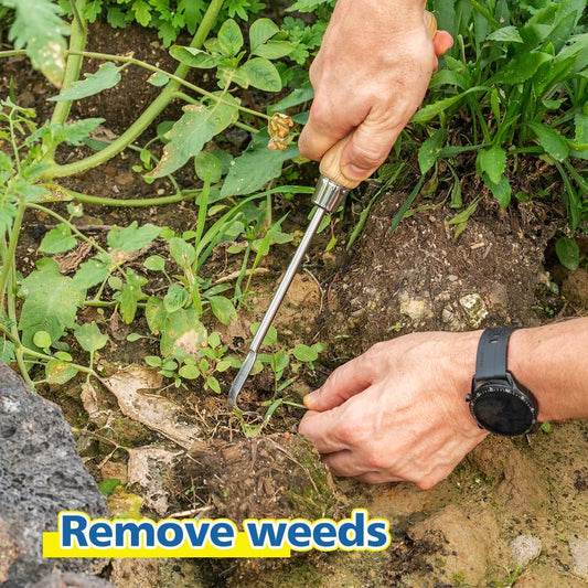 Garden Hook Weeder, L-Shape Single Claw Hook Crack Weeder