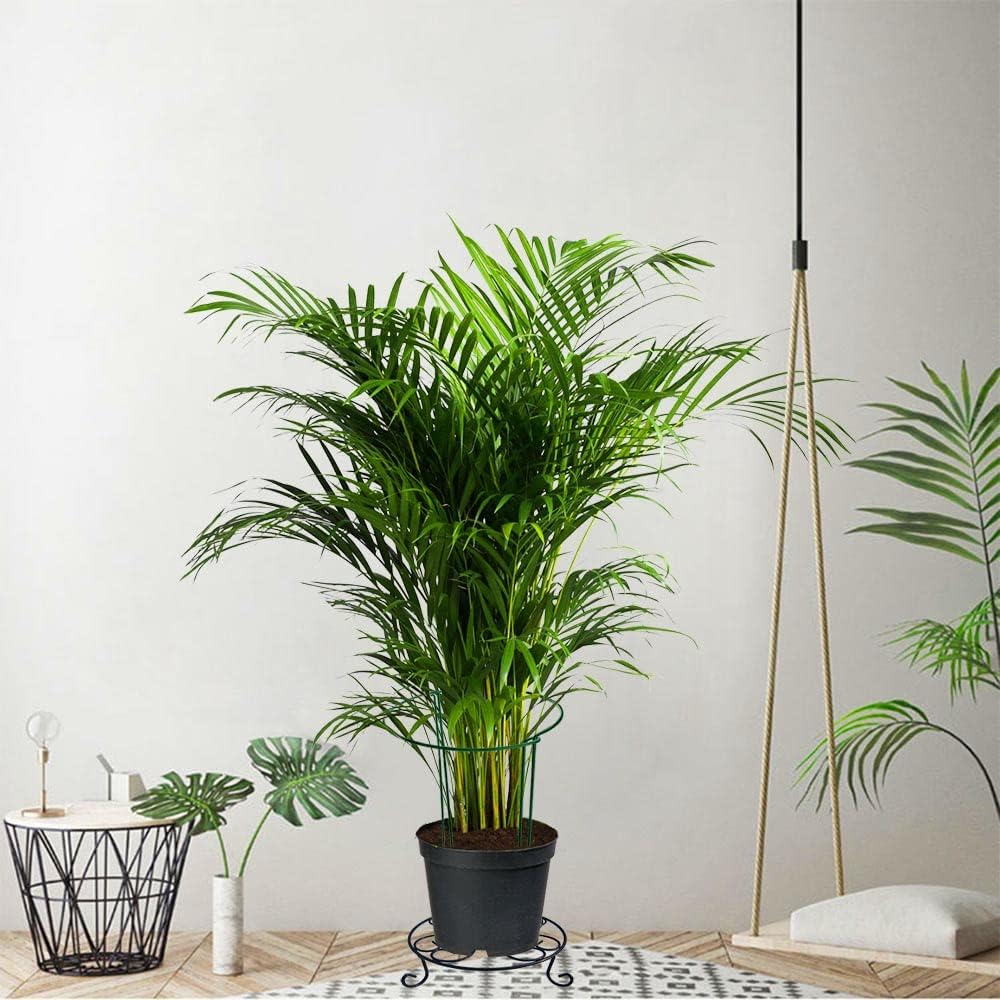 12 Pack 13.8 Inch High Plant Stake,Garden Plant Support,Half-Round Peony Cage Plant Ring Hoop