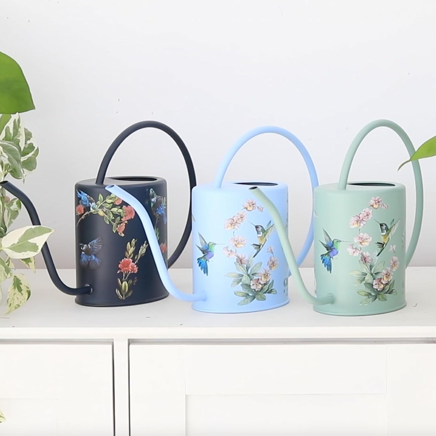 Indoor Watering Can & Mist Spray Bottle Set for Indoor Plants - Decorative