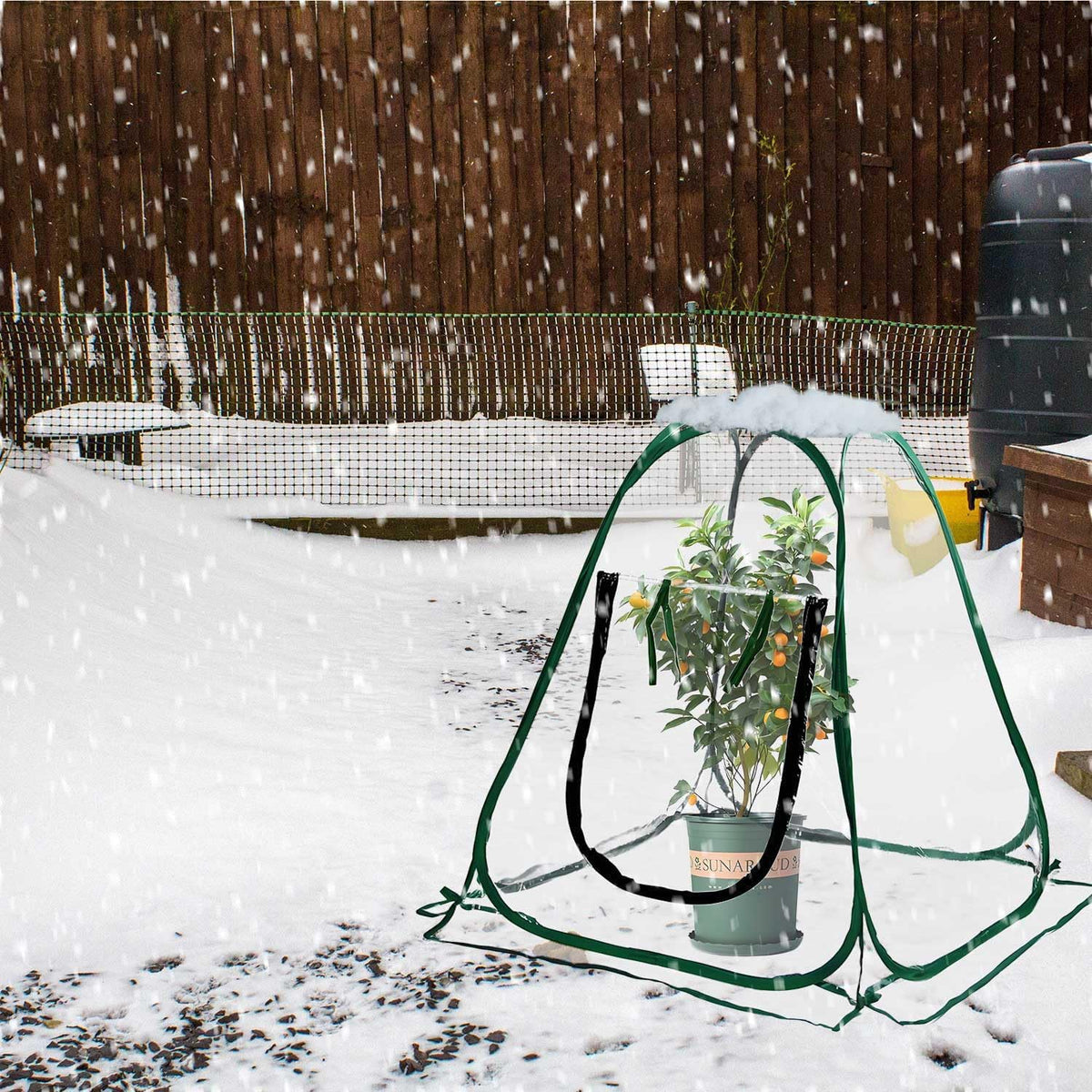 Plant Mini Greenhouse Pop Up Greenhouse Covers, Transparent Freeze Protection PVC Tent with Roll-up Zipper Entry Doors for Indoor and Outdoor Gardens Protecting Plant from Cold Frost (PVC, 39x39x39in)