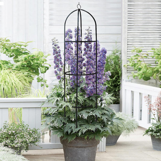 Garden Obelisk Trellis for Climbing Plants Outdoor 6 Ft Rose Bush Round Trellis for Pots Rustproof Metal Plant Flower Trellises for Clematis Vine Jasmine Support Outdoor Indoor
