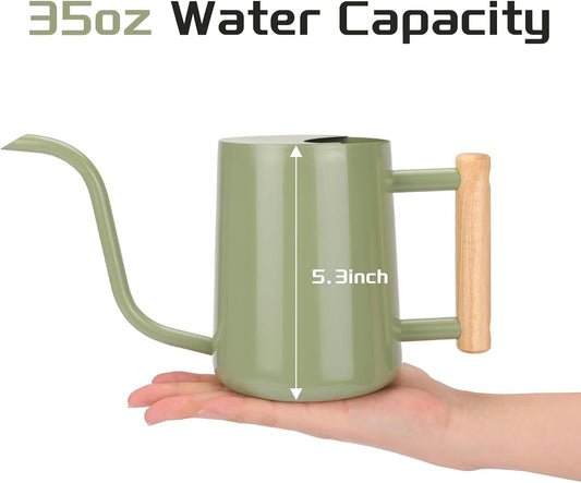 Metal Watering Can for Indoor Plants, 35oz Sage Green Cute Stainless Steel Pot with Long Spout for Indoor House Plants Bonsai Outdoor Garden Flower Decorative