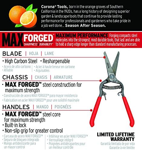 Corona FS 4310 Bonsai & Orchids Mini Shear with Vinyl Coated Steel Handles, 1-1/4-Inch