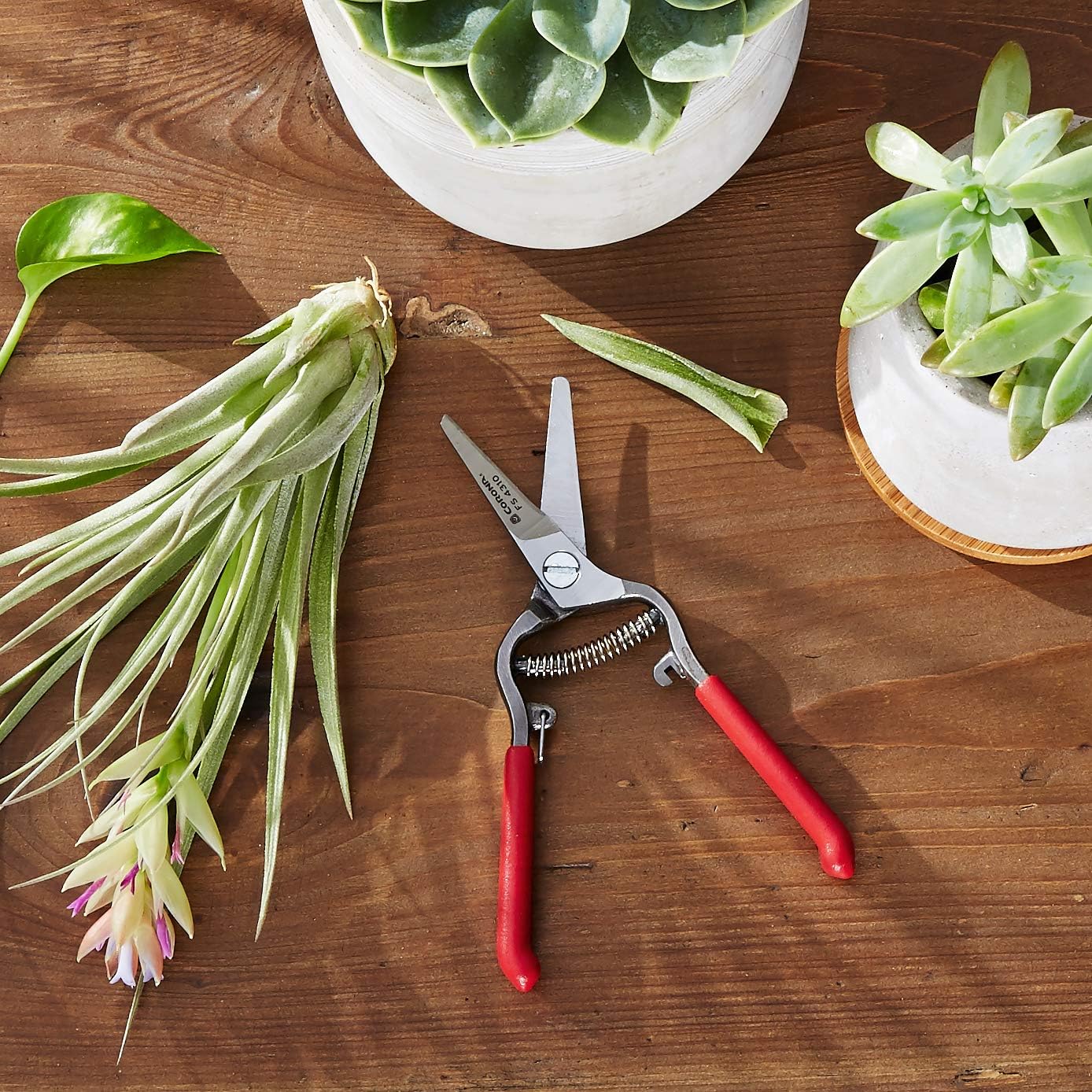Corona FS 4310 Bonsai & Orchids Mini Shear with Vinyl Coated Steel Handles, 1-1/4-Inch