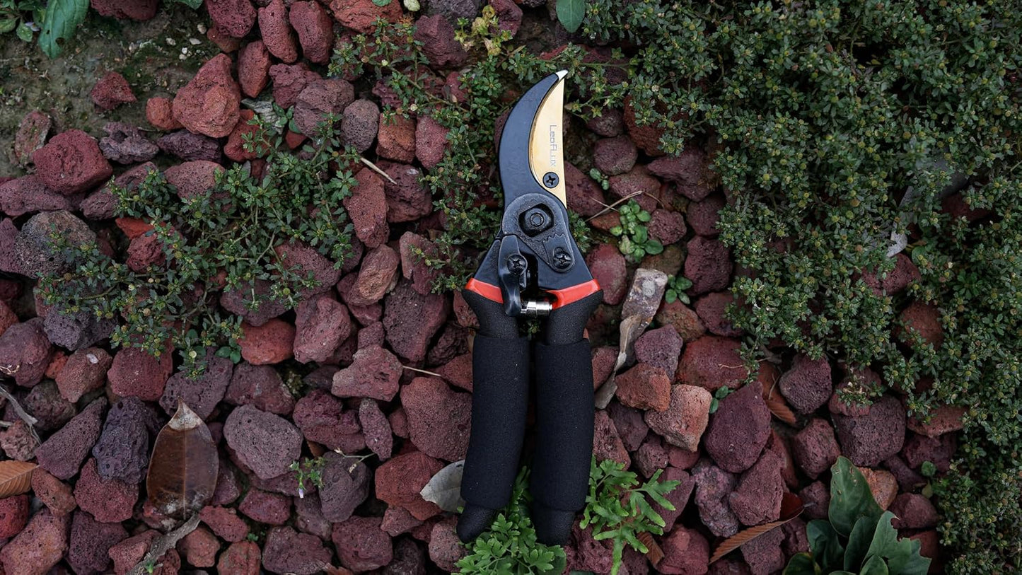 Pruning Shears, Professional SK5 Quality Durable Titanium Plated Rust-Proof Bypass Pruning Shears with Soft Cushion Grip Handle, Hand Pruners, Clippers for Gardening, 8 Inch, LFXP1003B