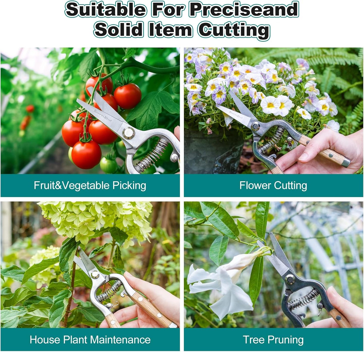Mini Pruning Shears for Gardening Straight Blades Hand Pruners with Wooden Handle Garden Scissors Snips Stainless Steel Trimming Small Clippers Bonsai Compact Size Shearing Tool